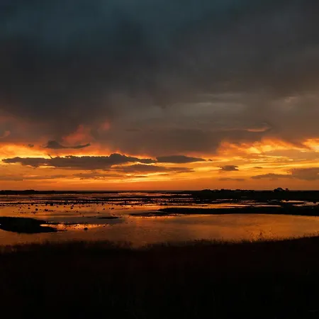 Peaceful Place In Lofoten