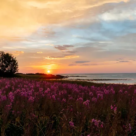 Peaceful Place In Lofoten Alstad (Nordland)