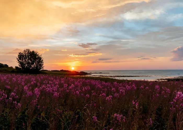 Peaceful Place In Lofoten Alstad (Nordland)
